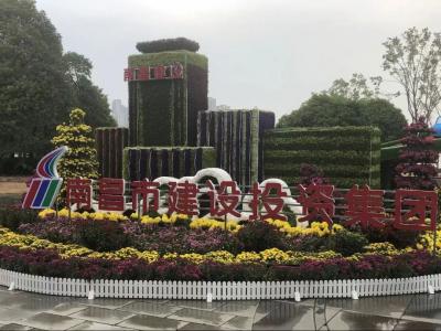 以菊为媒 以花为介 展示服务城市与发展之宗旨——市mg冰球突破集团参展南昌市第三十四届菊花展